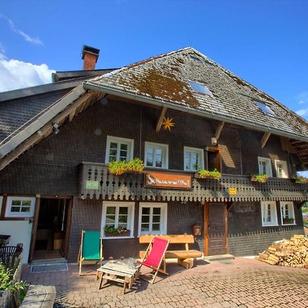 Wohlfuehl-Ferienwohnung 80 Qm, 8 Personen, Aussicht & Heimkino Todtnau Eksteriør bilde