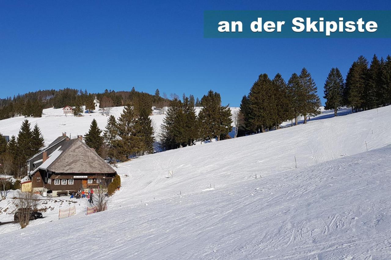 Wohlfuehl-Ferienwohnung 80 Qm, 8 Personen, Aussicht & Heimkino Todtnau Eksteriør bilde