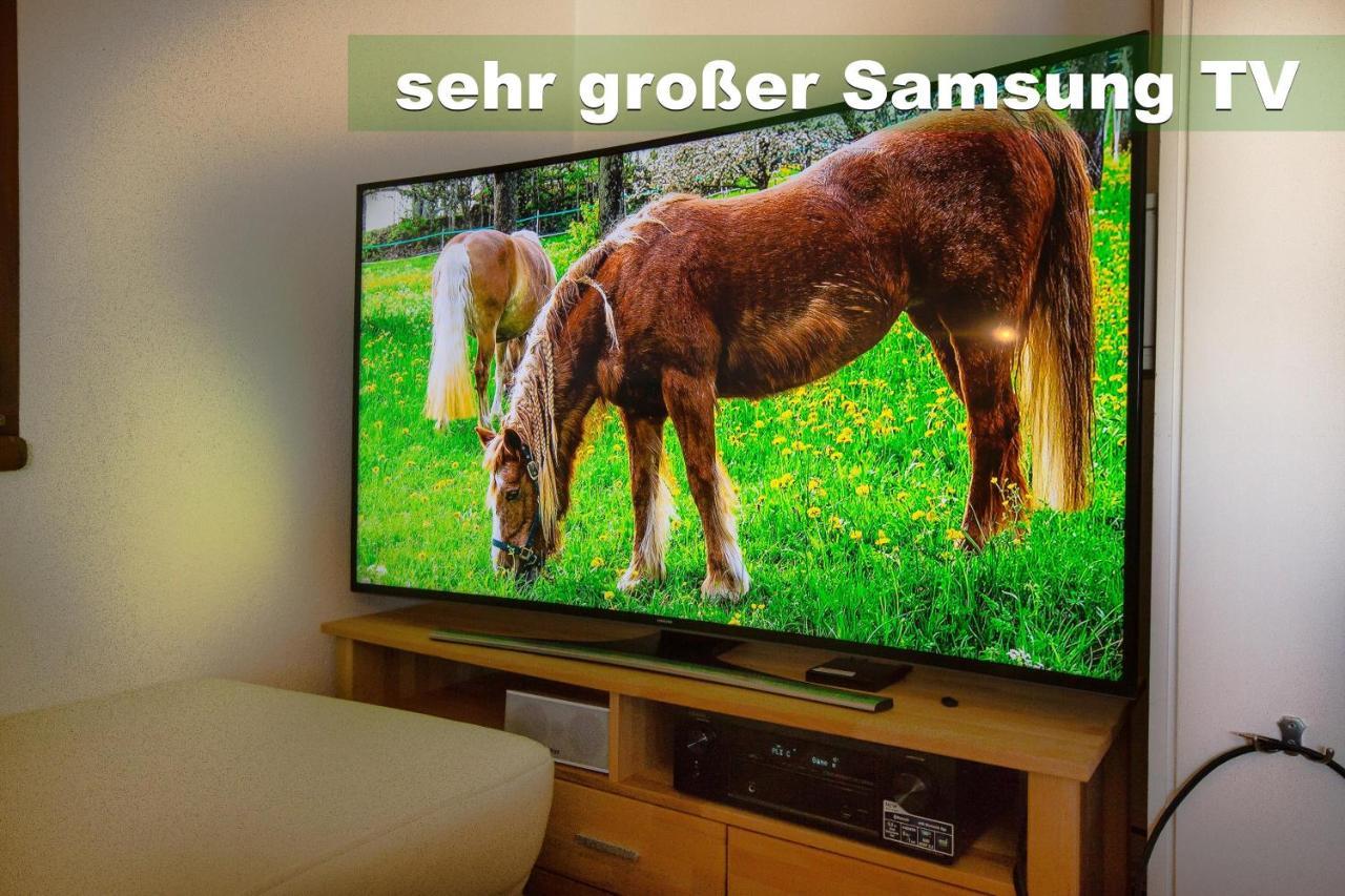Wohlfuehl-Ferienwohnung 80 Qm, 8 Personen, Aussicht & Heimkino Todtnau Eksteriør bilde