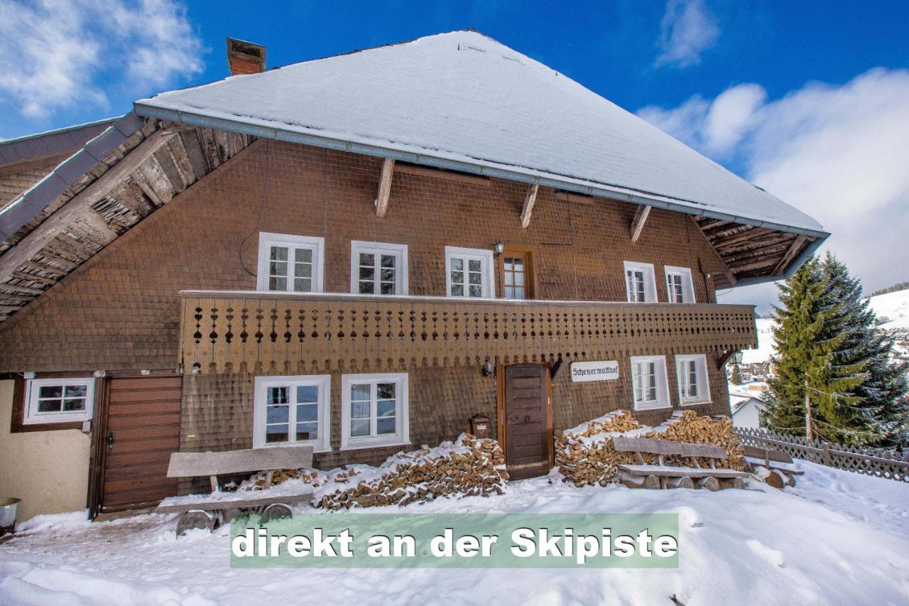 Wohlfuehl-Ferienwohnung 80 Qm, 8 Personen, Aussicht & Heimkino Todtnau Eksteriør bilde